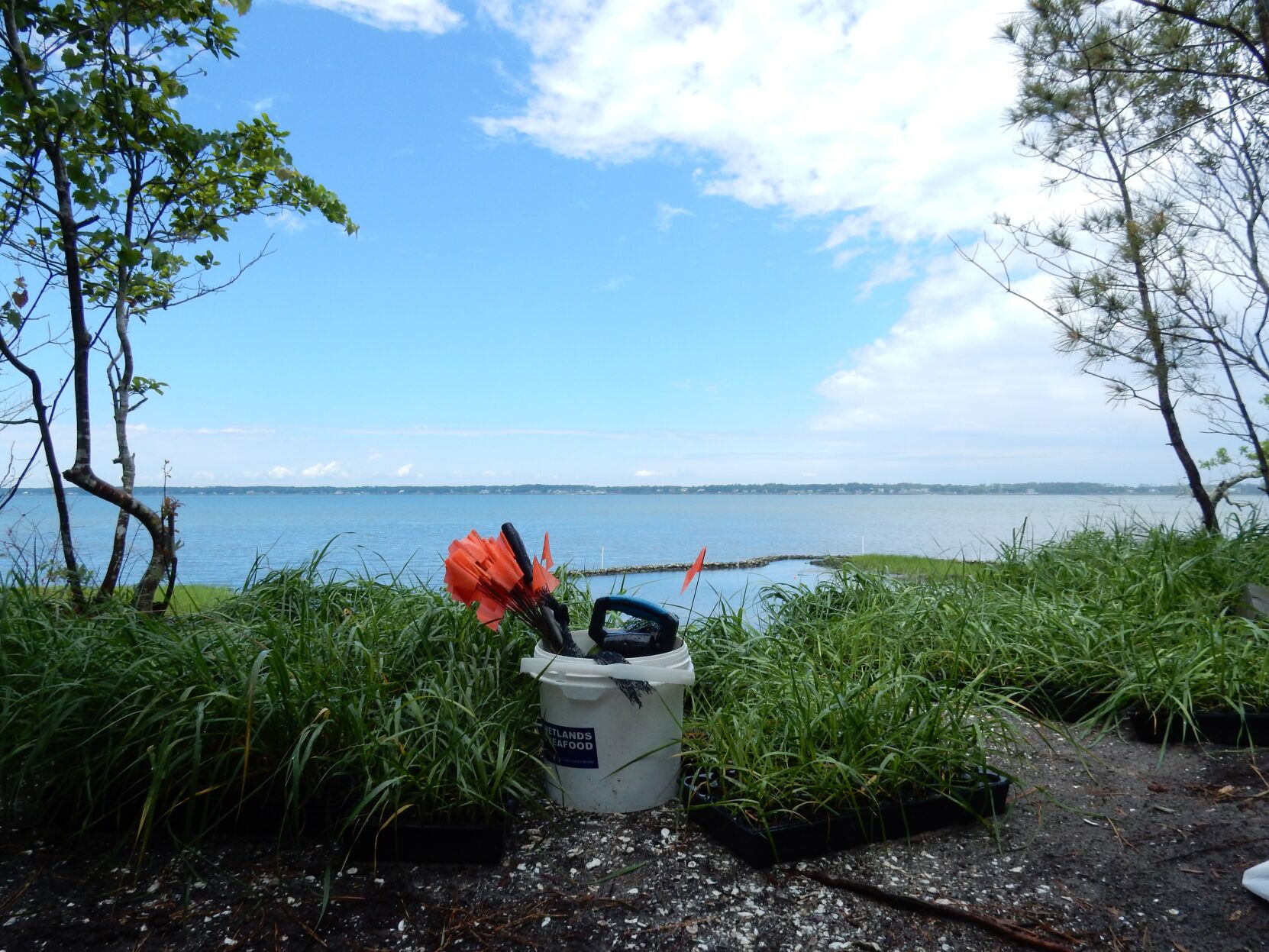 Congress considers extensive appropriations for environment, fisheries